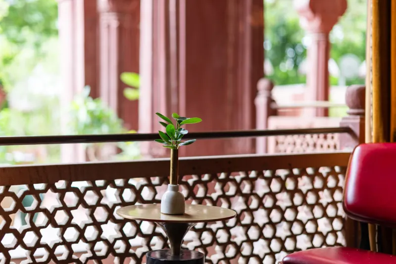 Bollywood Called — and American Interior Designers Picked Up